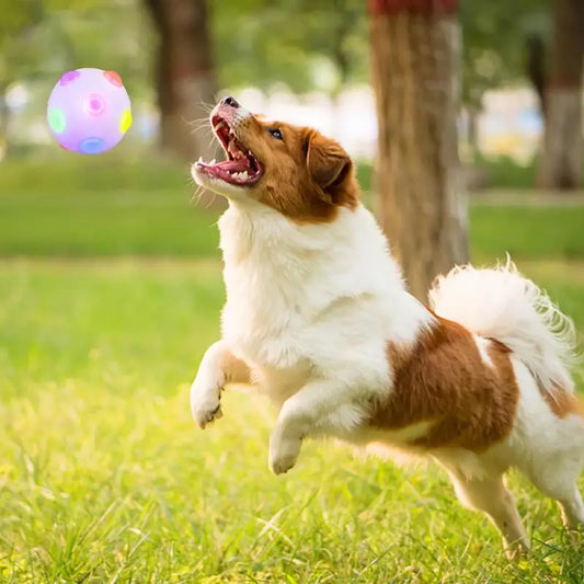 Light Up Music Flashing Bouncing Vibrating Ball for Dogs Puppy